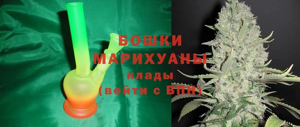 ПСИЛОЦИБИНОВЫЕ ГРИБЫ Заводоуковск